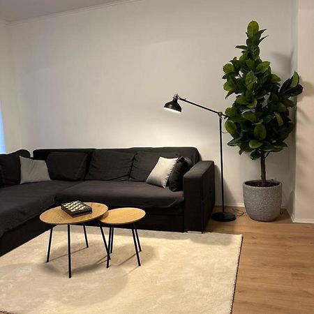 Ferienwohnung Haus Paraschiv Aue  Exteriör bild